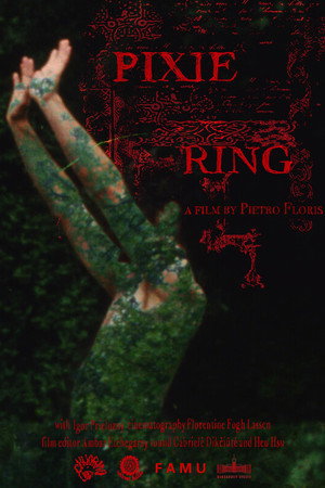 Pixie Ring poster