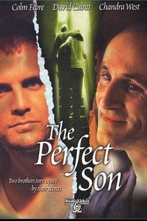 The Perfect Son