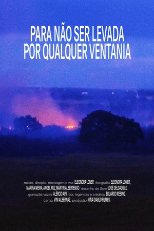 Para não ser levada por qualquer ventania Para não ser levada por qualquer ventania