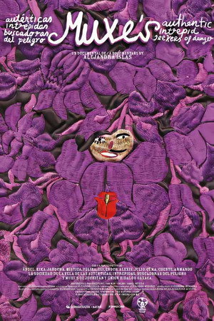 Muxes: Authentic, Fearless Seekers of Danger poster