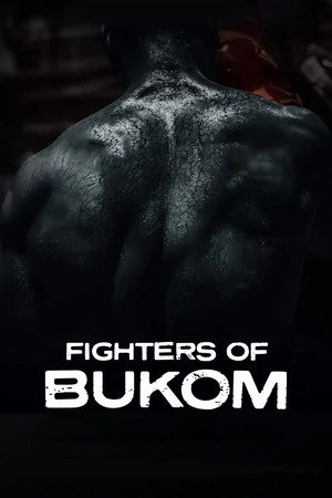 Fighters of Bukom poster