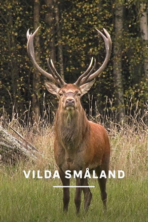 Vilda Småland poster