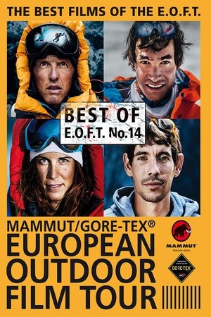 Best of E.O.F.T. No. 14