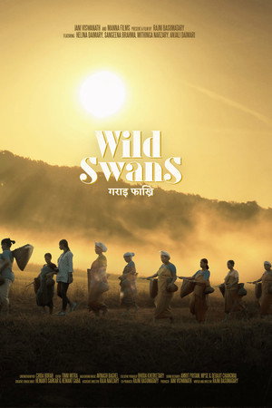Wild Swans poster