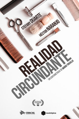 Surrounding Reality poster