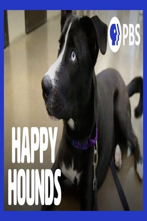 Happy Hounds poster