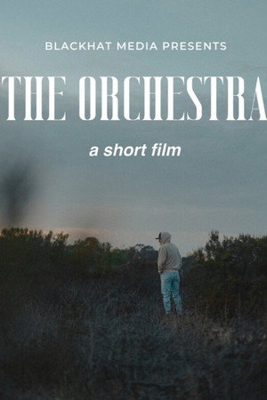 The Orchestra
