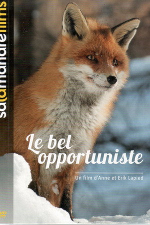 The Beautiful Opportunist poster