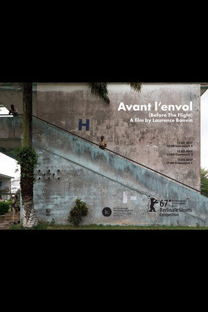 Avant l'envol poster