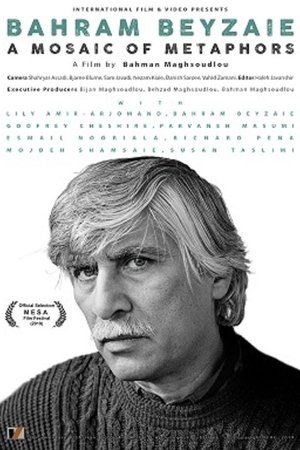Bahram Beyzaie: A Mosaic of Metaphors