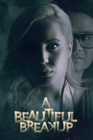 A Beautiful Breakup poster