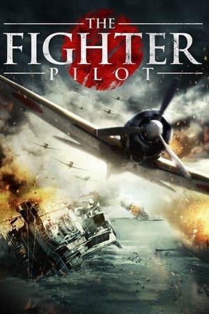 The Eternal Zero / The Fighter Pilot