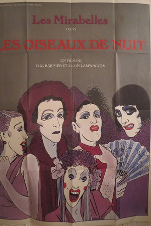 Les oiseaux de nuit poster