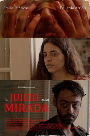 El juicio de mi mirada.