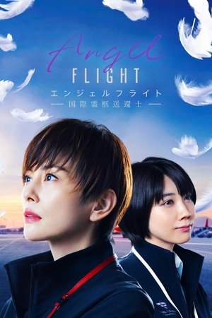 Imagen Angel Flight Temporada Completa