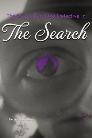 The Wizard and the Detective in the Search