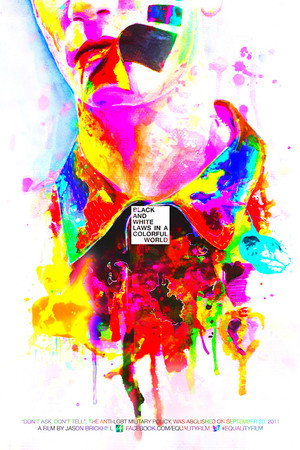 Black and White Laws in a Colorful World poster