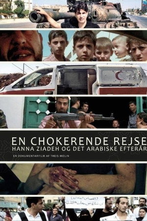 Crossing the Line poster