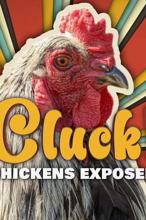 Cluck! Chickens Exposed poster