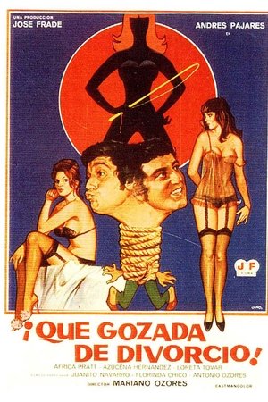 ¡Qué gozada de divorcio!