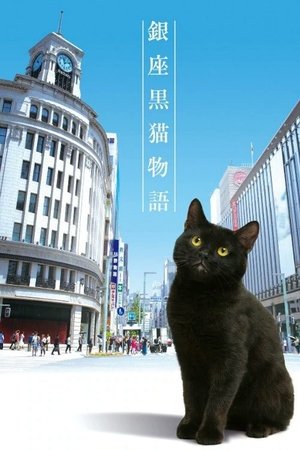 Ginza Black Cat Story