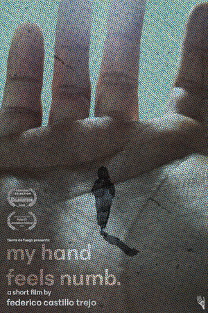 My Hand Feels Numb. poster