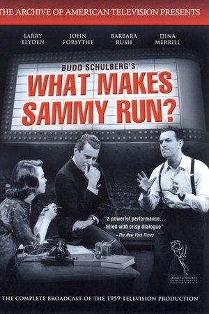 What Makes Sammy Run?