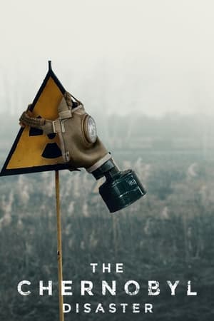 The Chernobyl Disaster