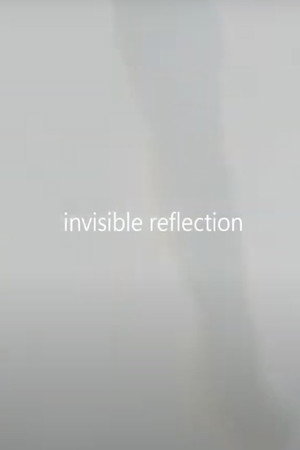 invisible reflection poster