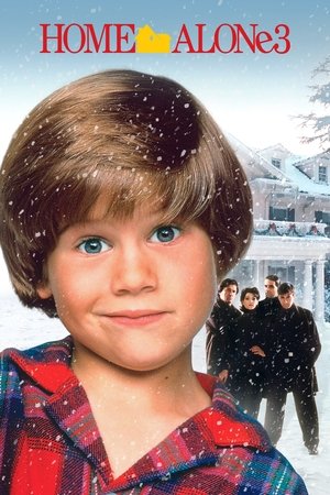 home alone 2 home alone 2
