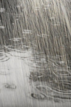 Rain: Then and Now poster