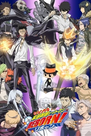 Katei Kyoshi Hitman Reborn! (Season 3) (2008)