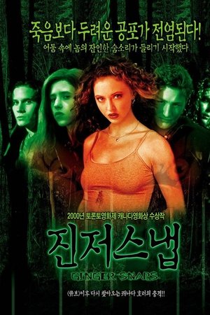 진저 스냅