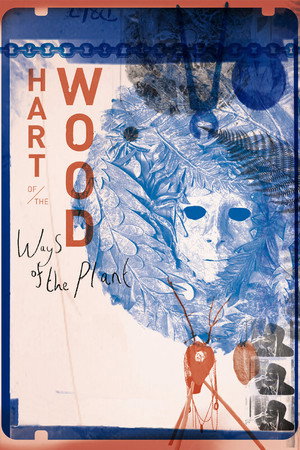Hart of the Wood ‘Ways of the Plant