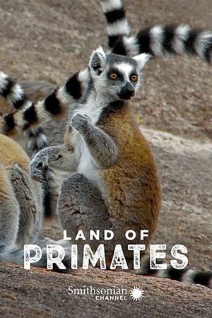 Land of Primates Land of Primates