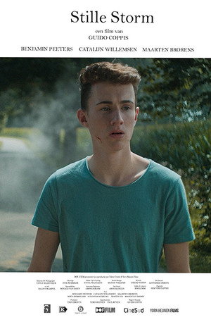 Silent Storm poster