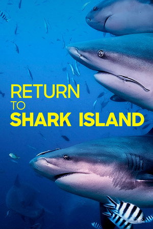 Return to Shark Island Return to Shark Island