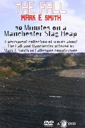 30 Minutes On A Manchester Slag Heap