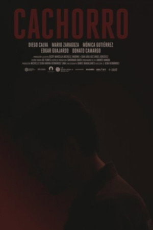 Cachorro poster