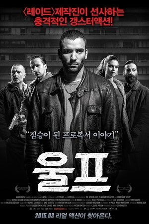 울프