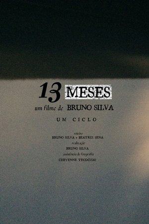 13 MESES