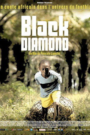 Black Diamond poster