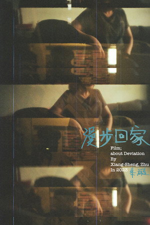 Film; about Deviation poster