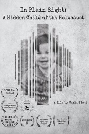 In Plain Sight A Hidden Child of the Holocaust poster