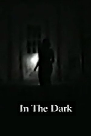 Poster of In the Dark