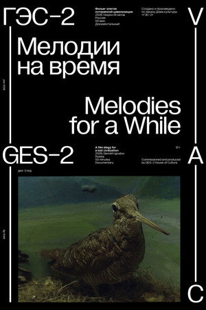 Melodies for a While poster