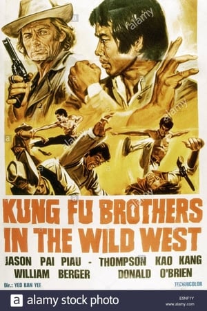 Kung Fu Brothers in the Wild West