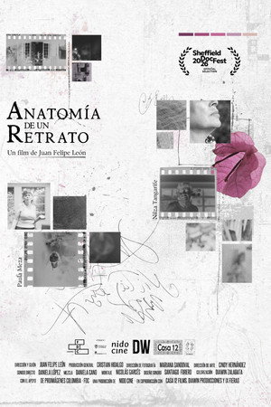 Anatomía de un retrato poster