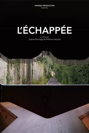 L'échappée poster