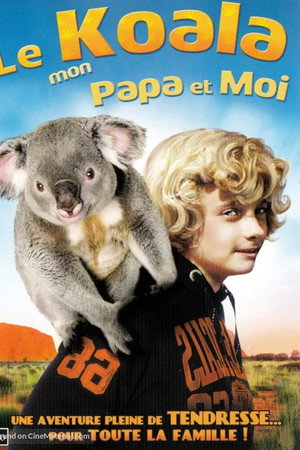 Ein Koala-Bär allein zu Haus